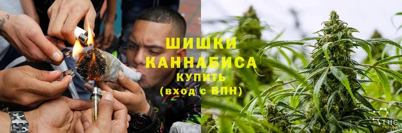 Канабис SATIVA & INDICA  наркошоп  Соликамск 